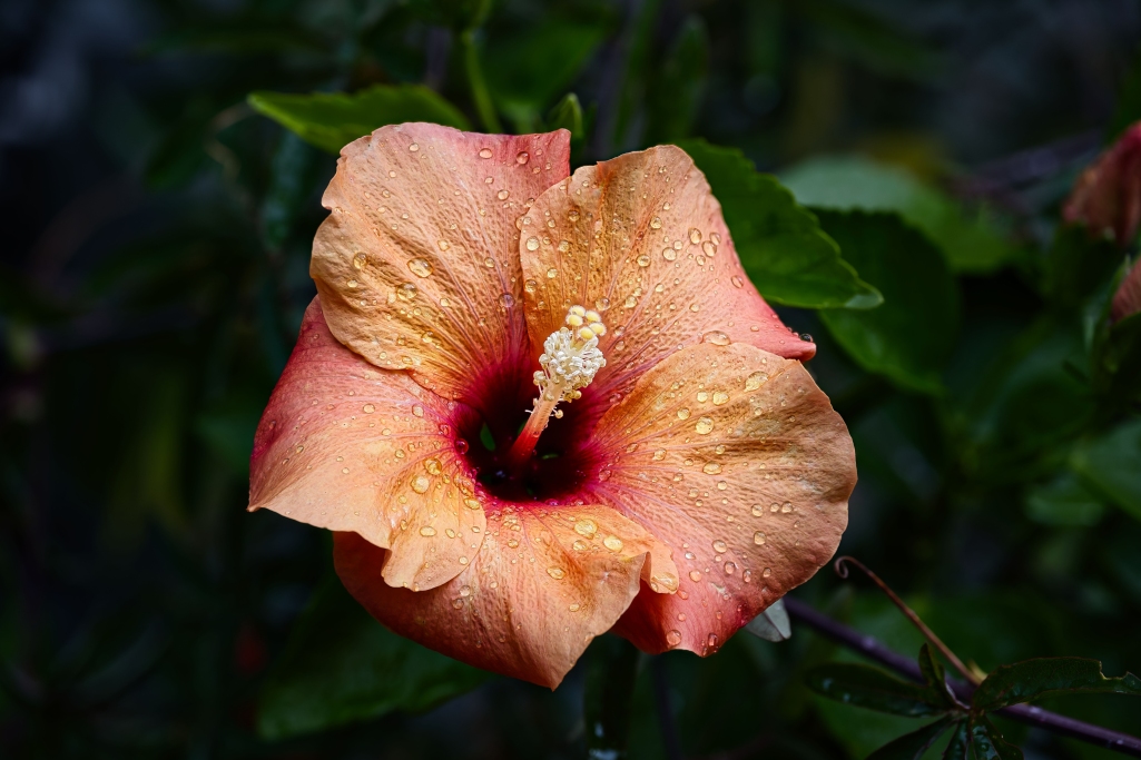 Fotoinspirationen ansehen, zuletzt aktualisiert am 01. Oktober 2025