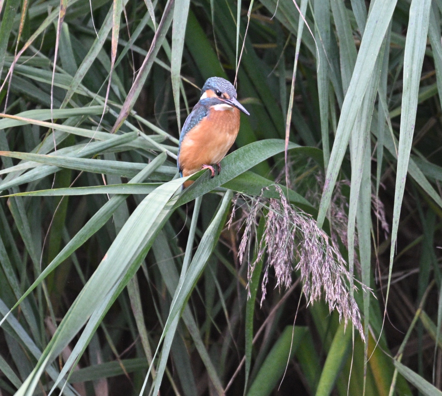 Tierische Abenteuer warten auf  Dich, zuletzt aktualisiert am 02. August 2025