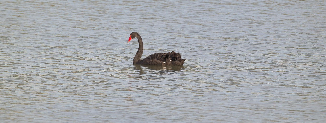 zuletzt aktualisiert am 01. November 2025