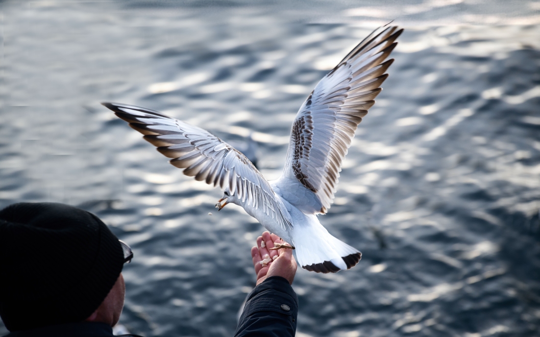 Tierische Abenteuer warten auf  Dich, zuletzt aktualisiert am 29. November 2025