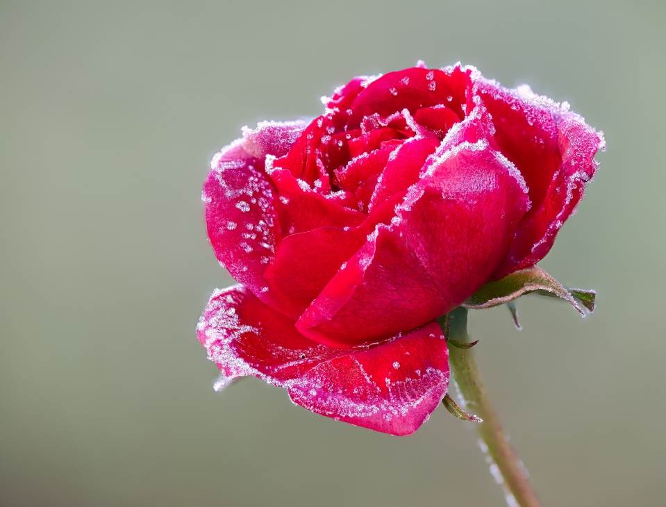 retour zu Highlights 