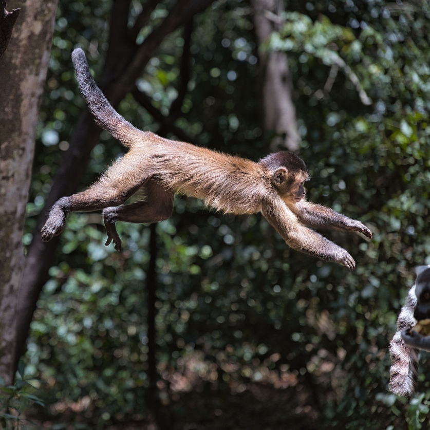 Südafrika – Teil 1+2 (South Africa – Part 1), Neu/New: 14.01.2026