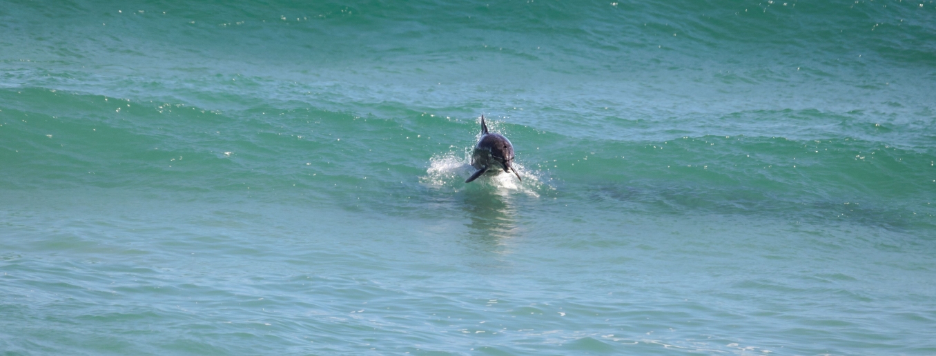 retour zu Highlights 