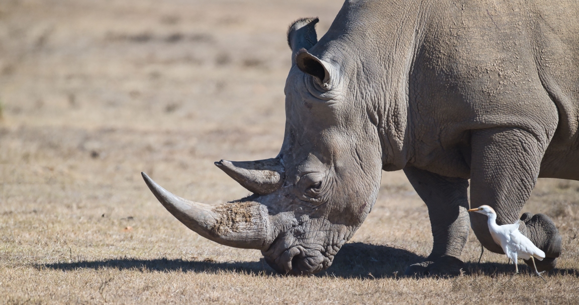 Zuletzt aktualisiert (Last update) 19.02.2026