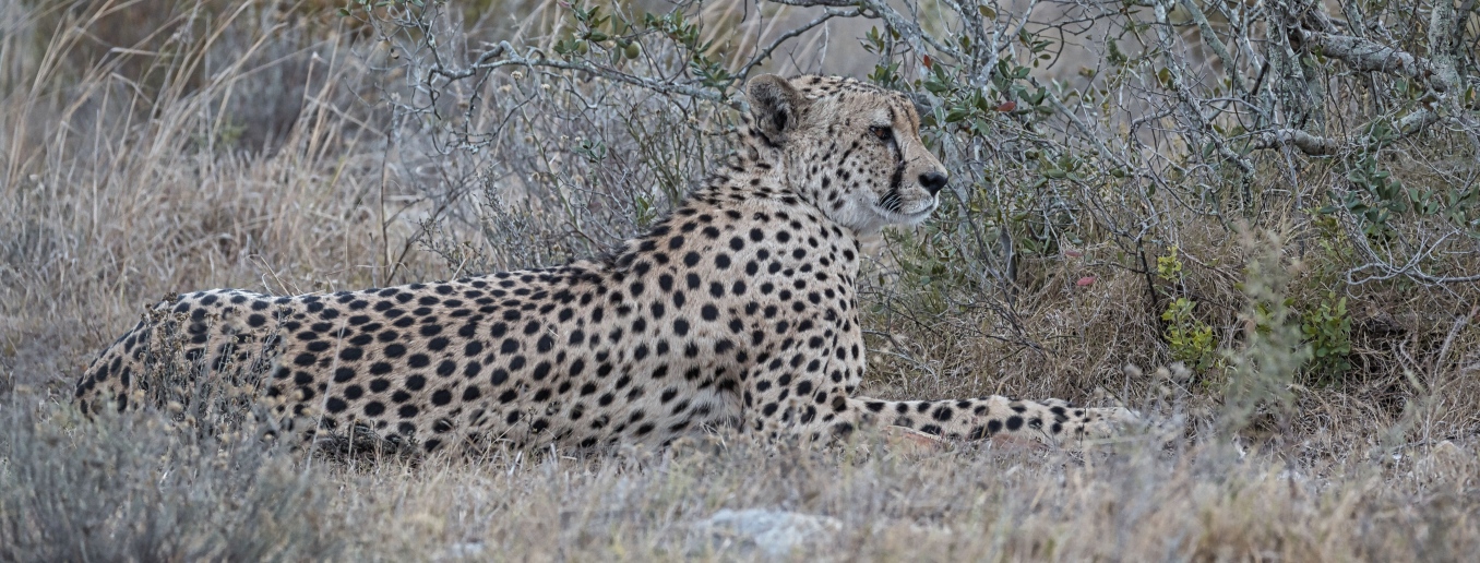 Zuletzt aktualisiert (Last update) 01.02.2026