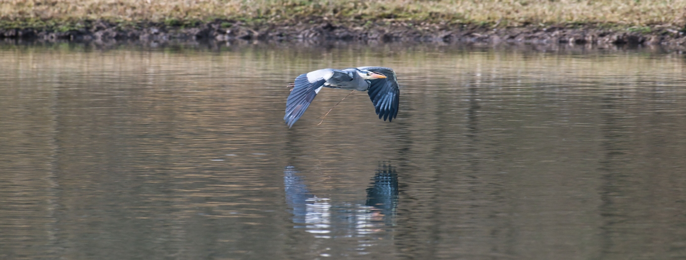 Flachsee Unterlunkhofen, zuletzt aktualisiert am 01.03.2026
