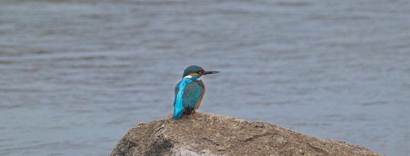 retour zu Highlights 