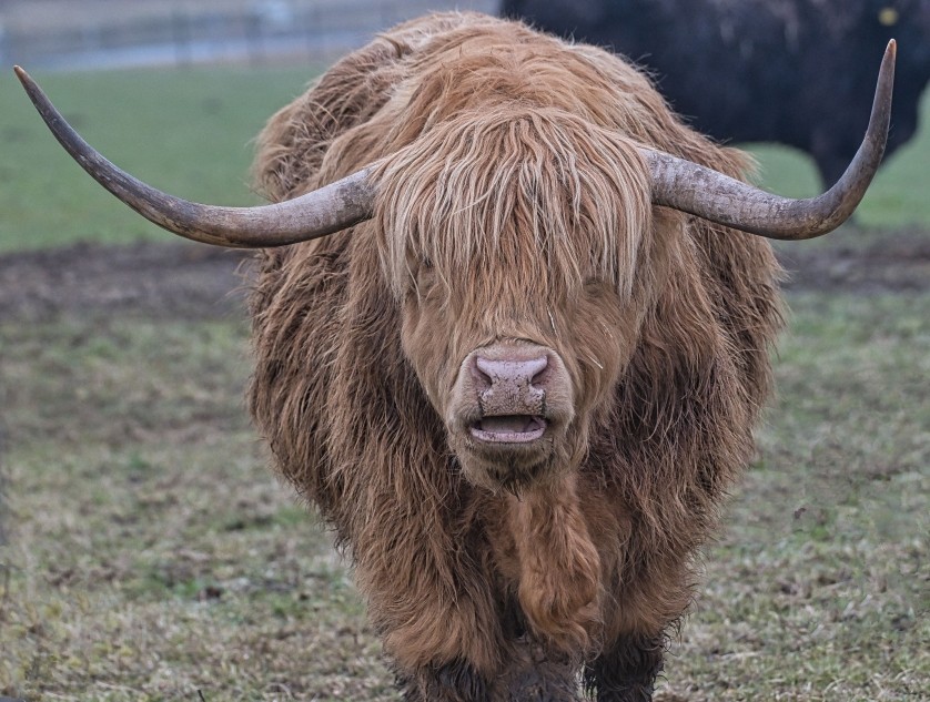 Blick des Monats (Monthly View) 01.03.2026