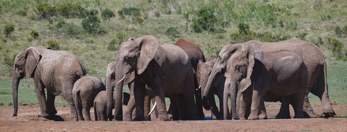 retour zu nach Jahr Highlights