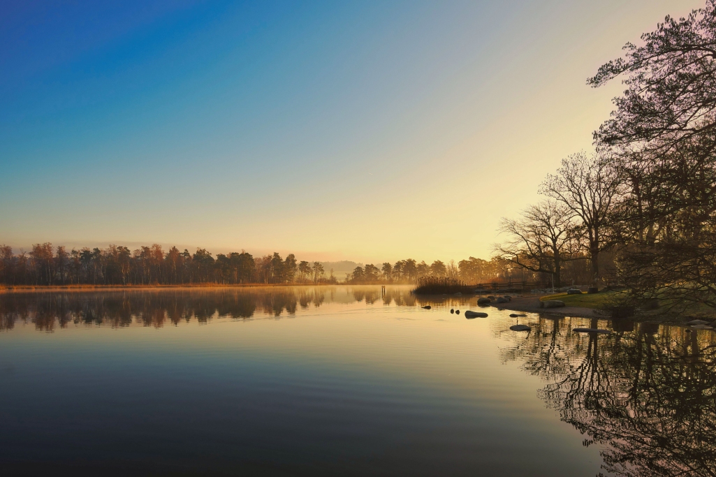 Blick des Monats (Monthly View) 01.03.2026